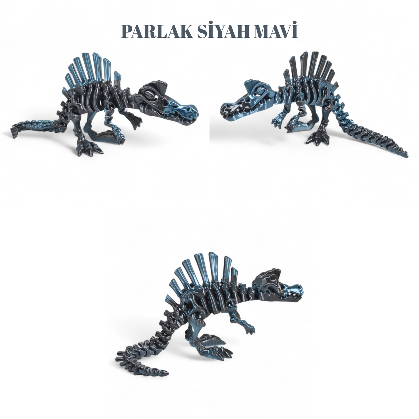 İskelet Spinosaurus Dinozor