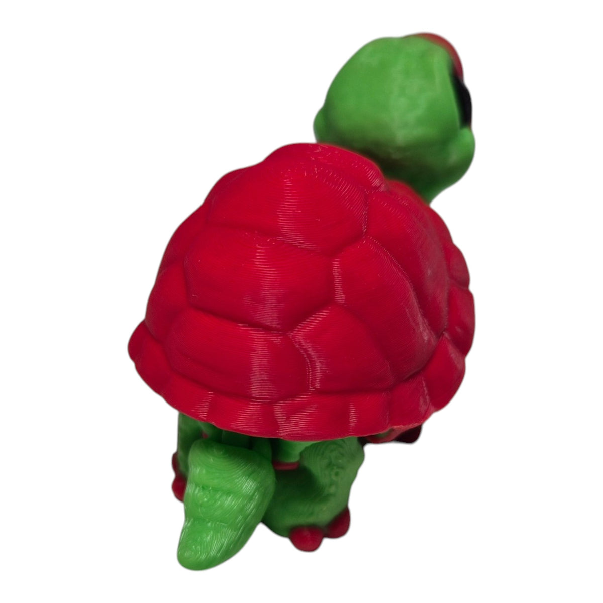 Mini Kaplumbağa