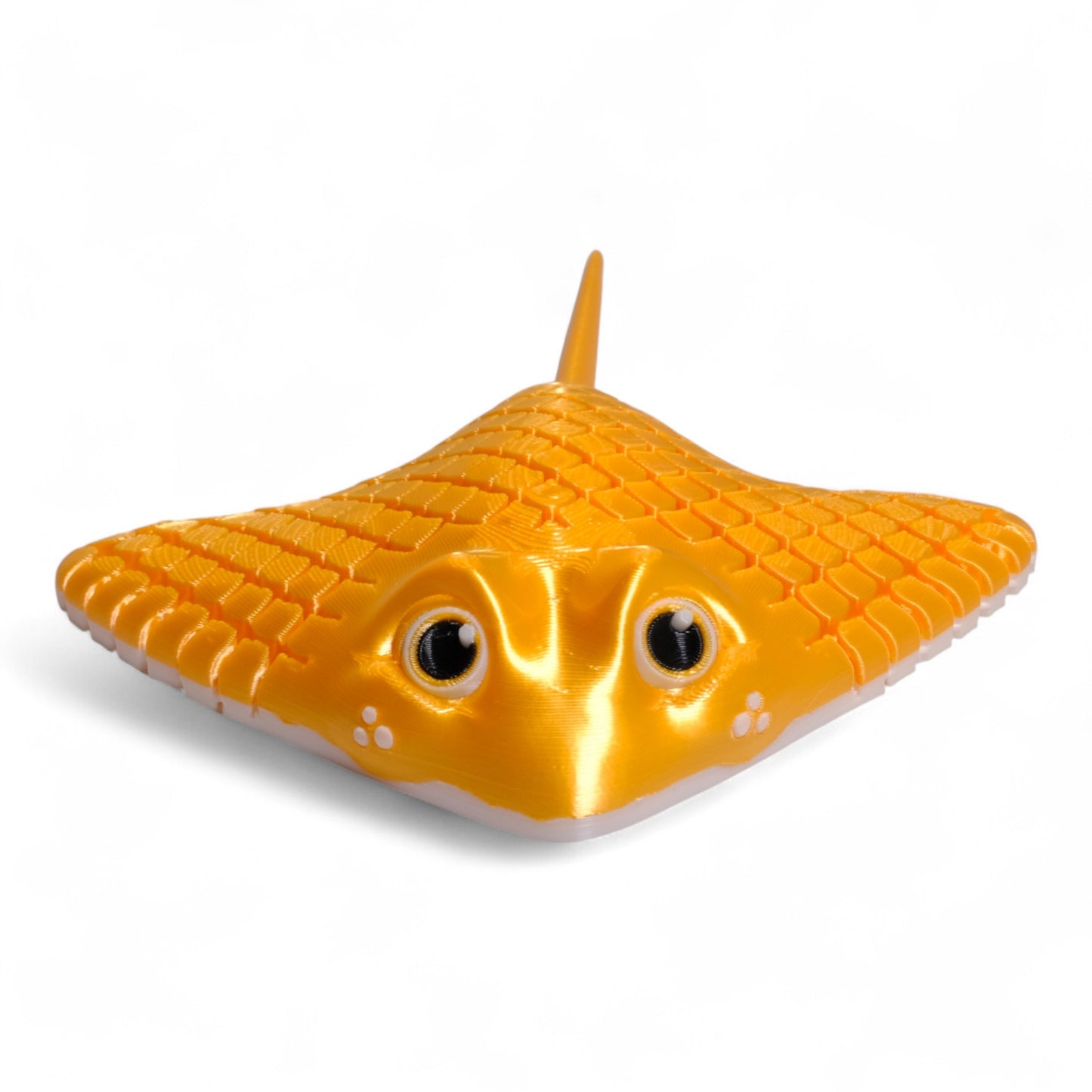 Manta Ray Vatoz