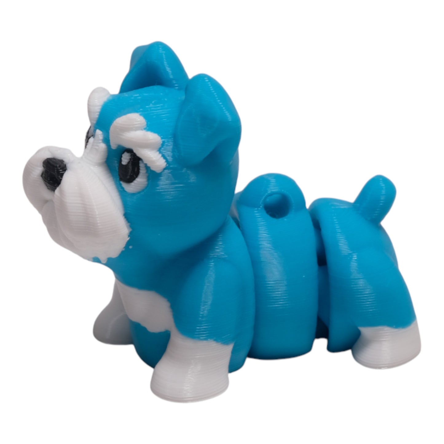 Cribbliz Schnauzer Köpek