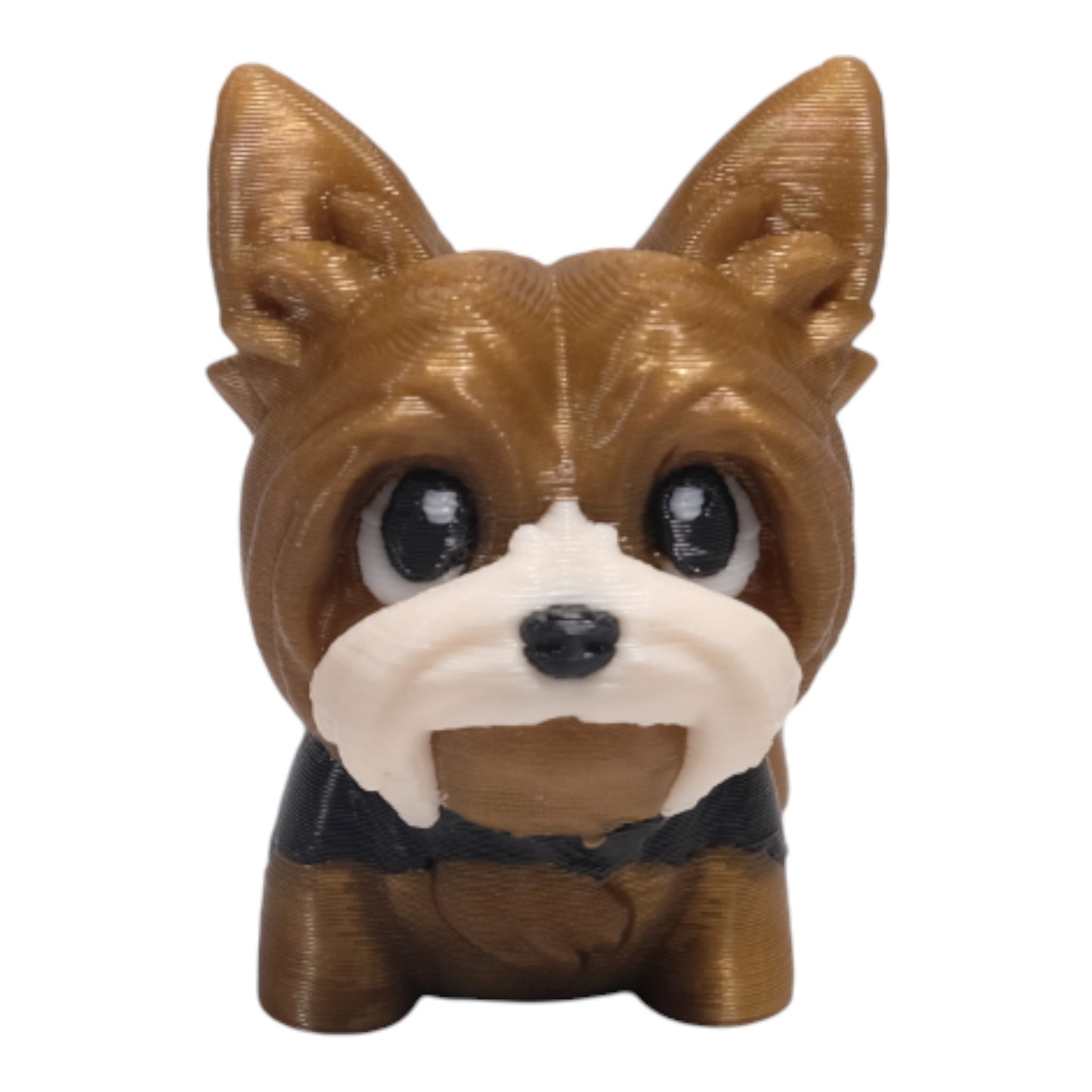 Cribbliz Yorkshire Terrier
