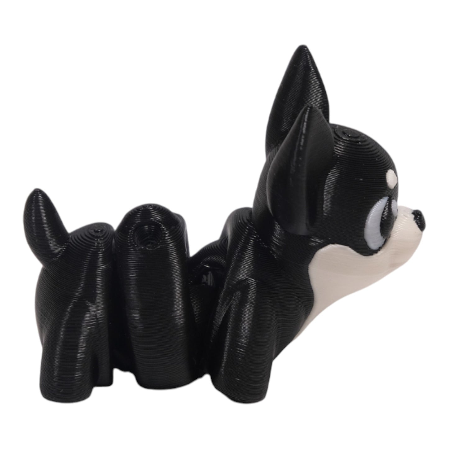 Cribbliz Chihuahua Köpek
