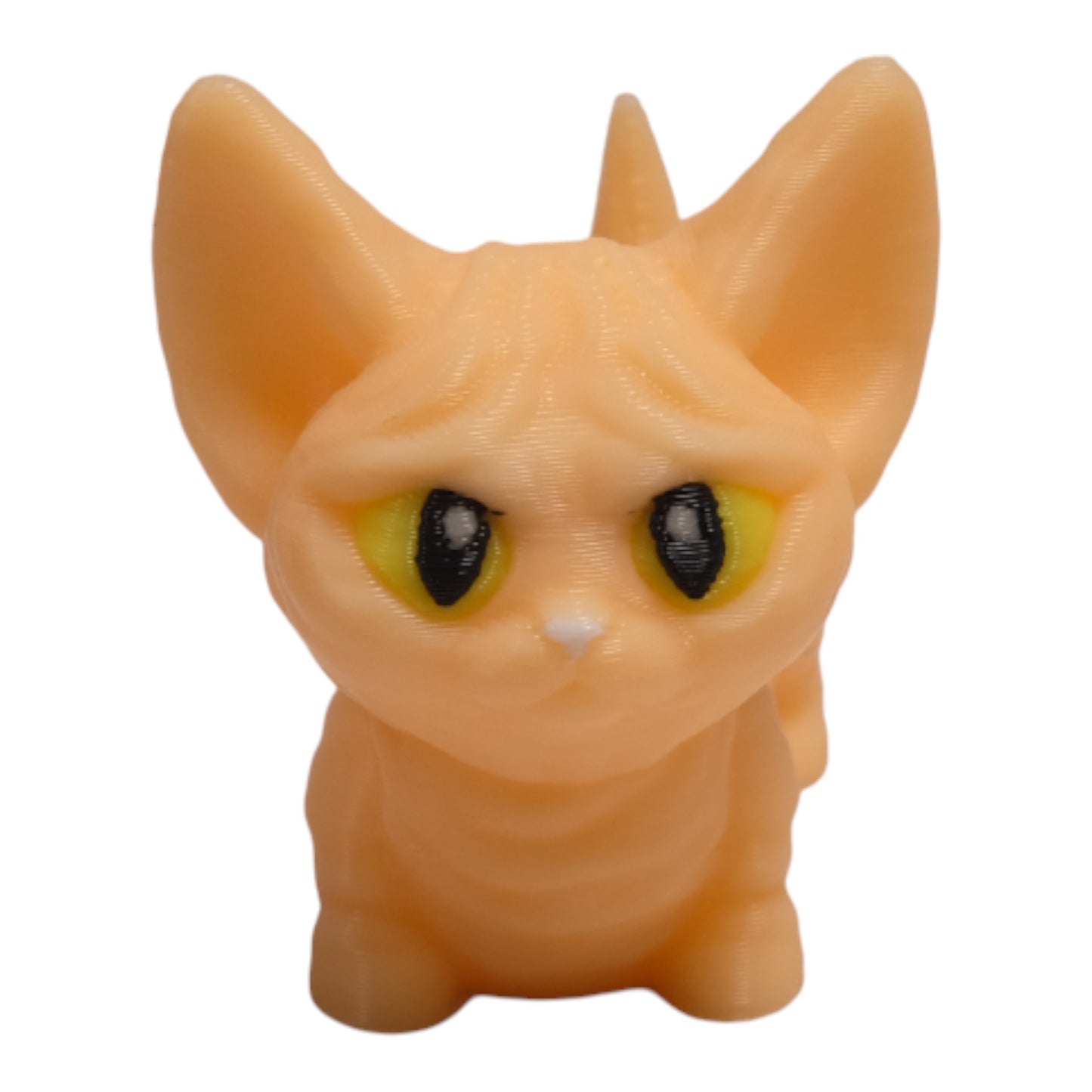 Cribbliz Sphynx / Sfenks Kedi