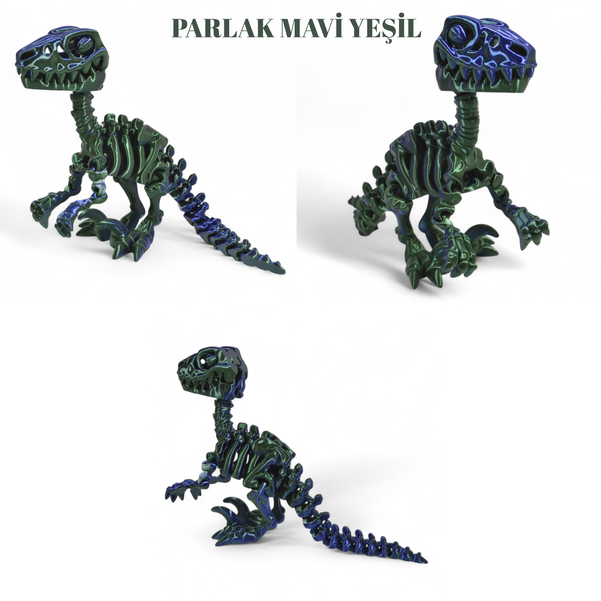 İskelet Raptor Dinozor