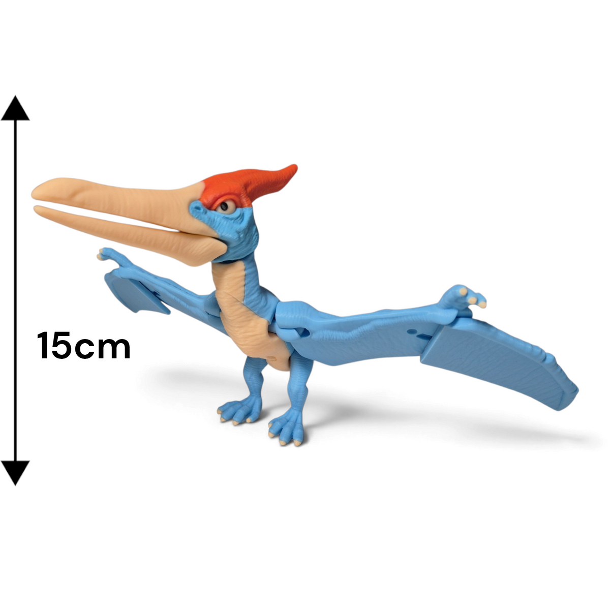 Pteranodon Dinozor