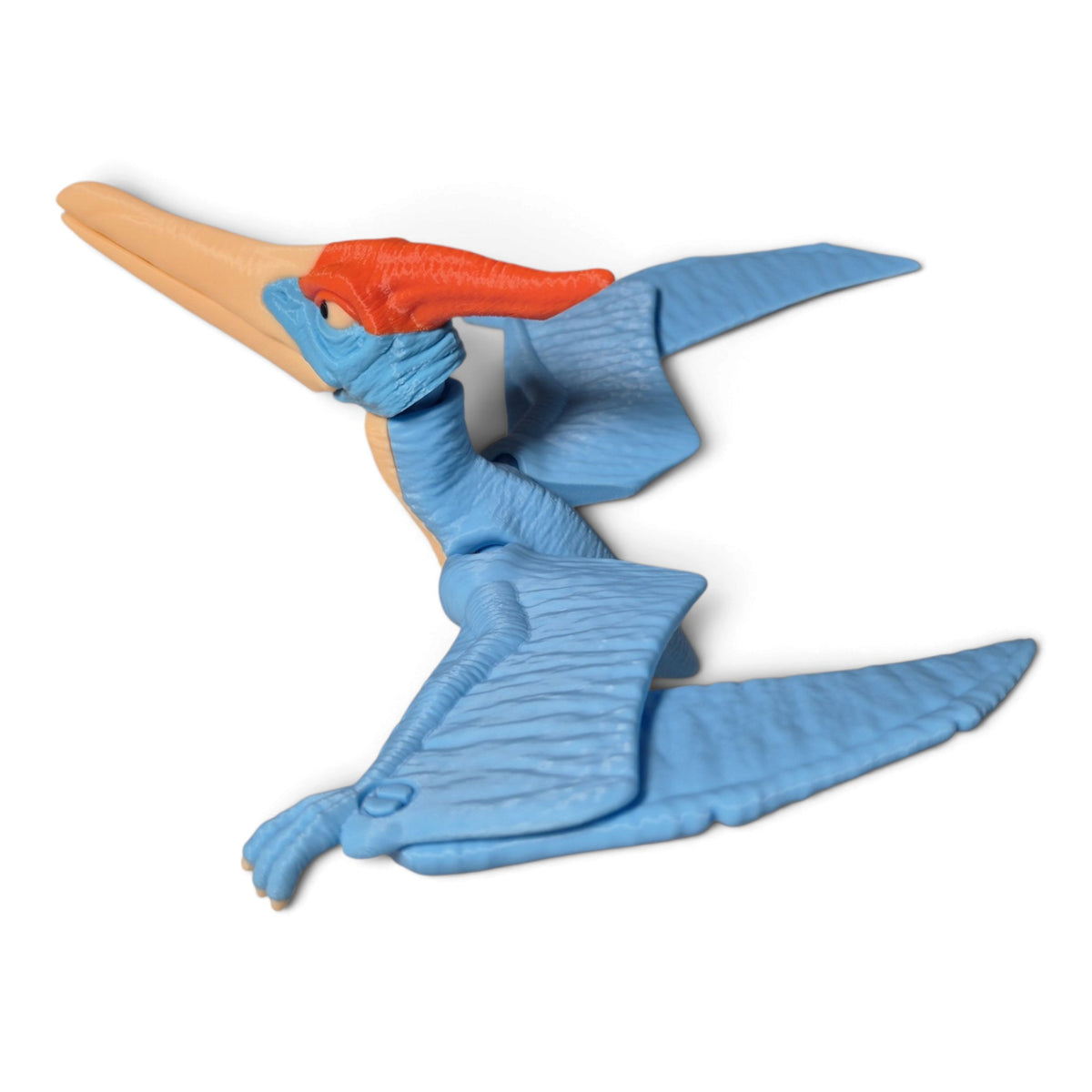 Pteranodon Dinozor