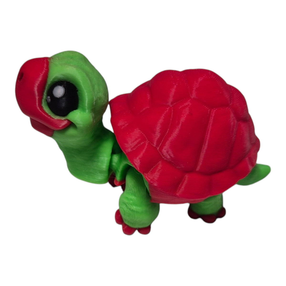 Mini Kaplumbağa