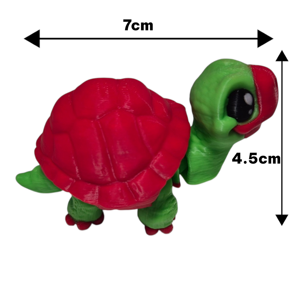Mini Kaplumbağa