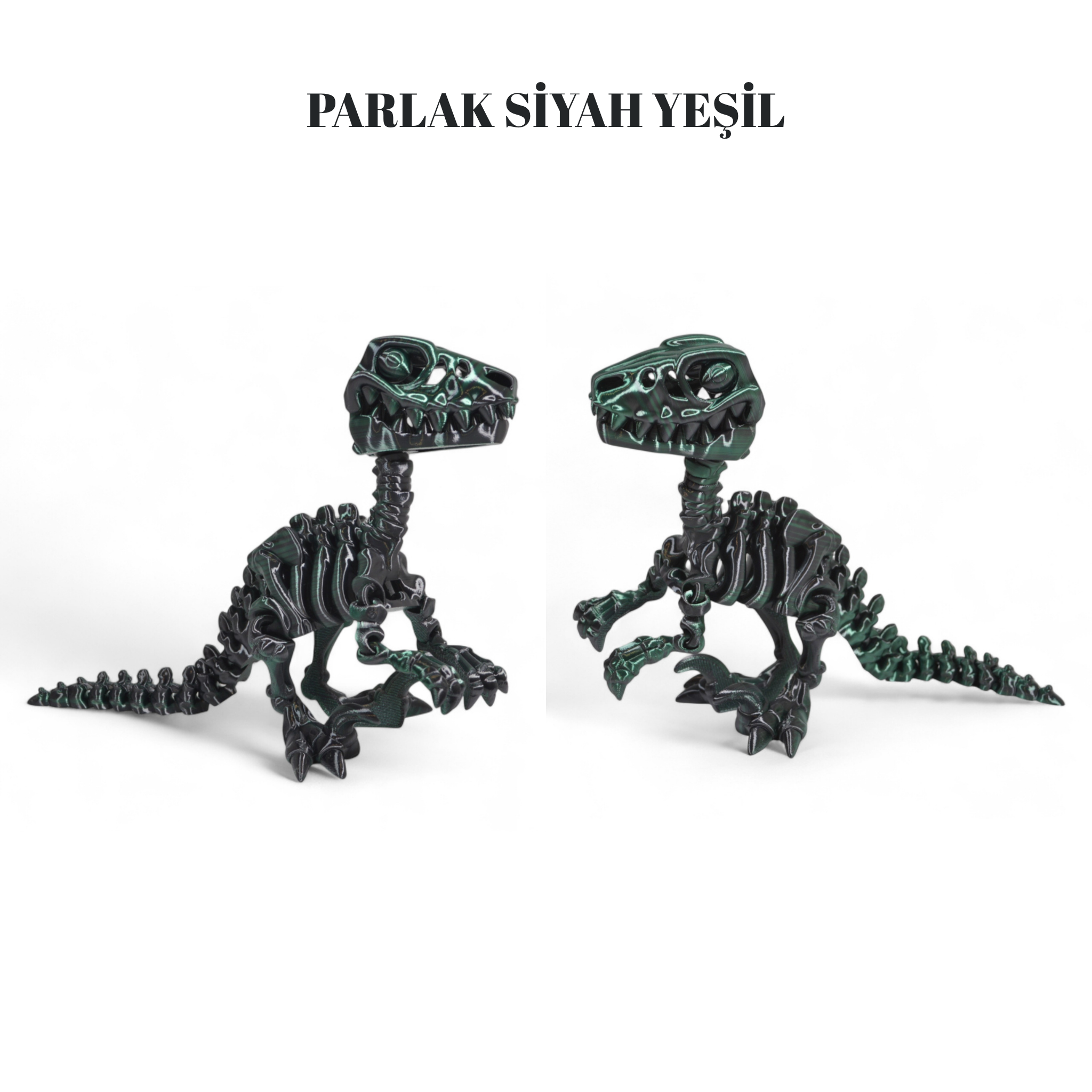 İskelet Raptor Dinozor