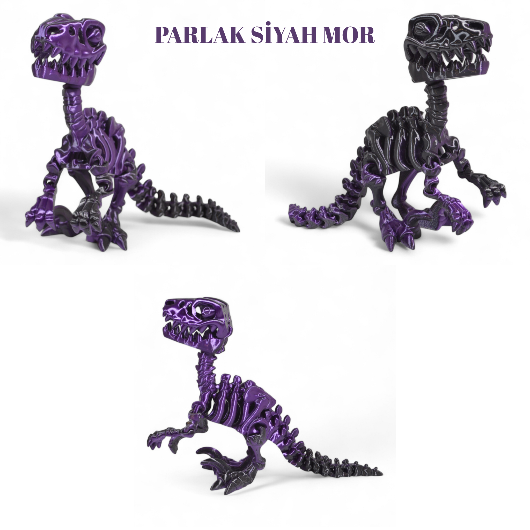 İskelet Raptor Dinozor