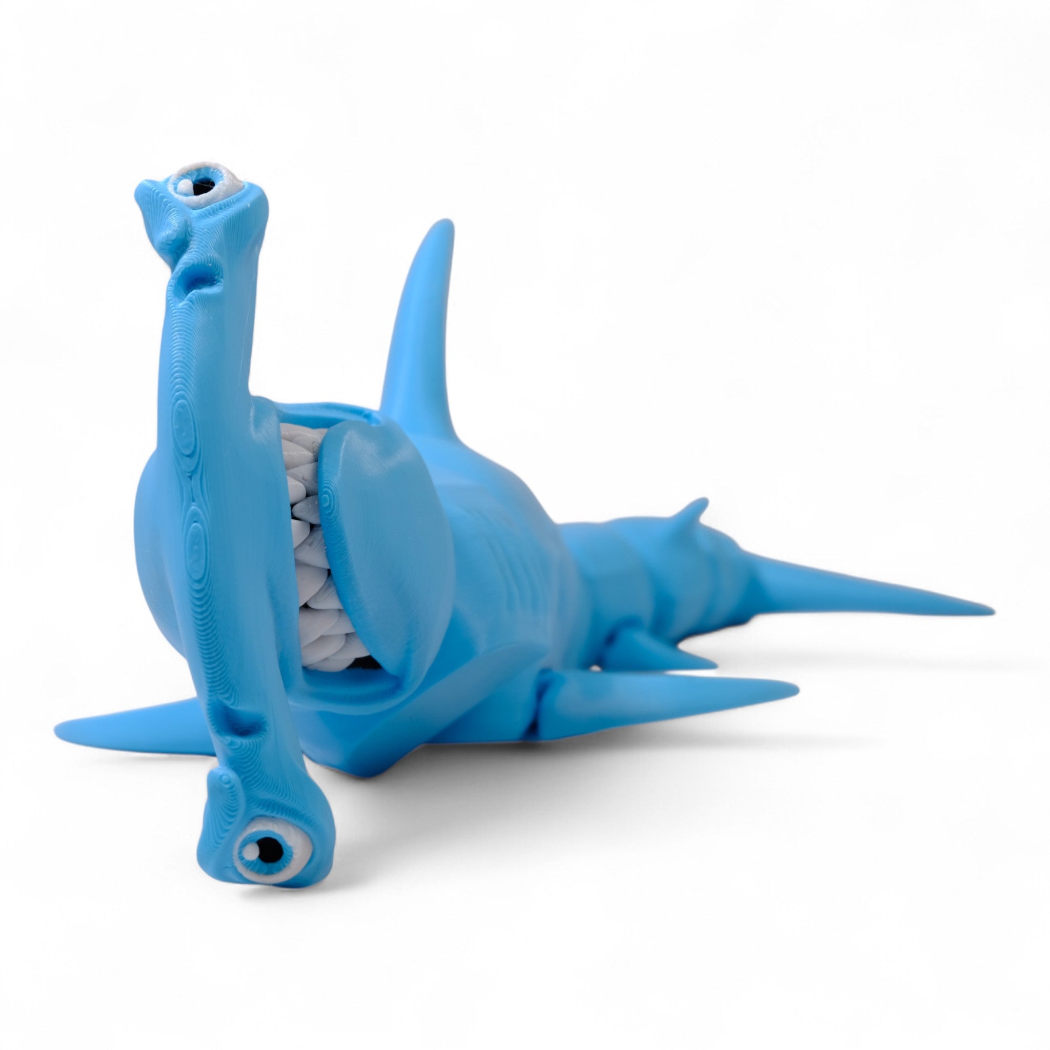 Çekiç Başlı Köpekbalığı