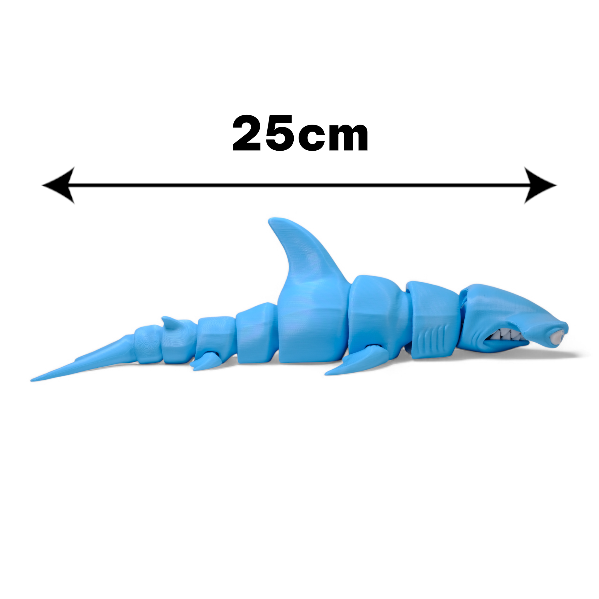 Çekiç Başlı Köpekbalığı