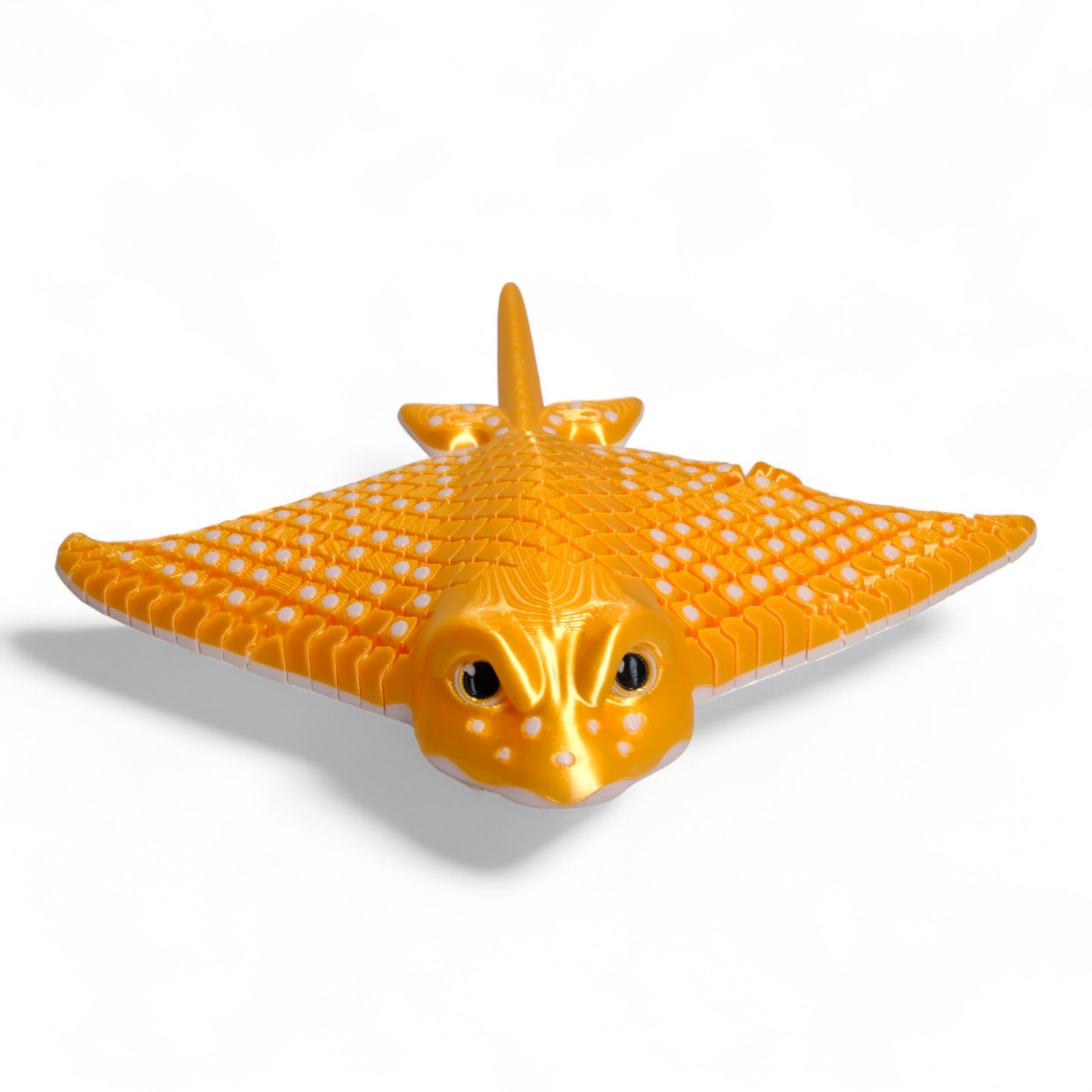 Eagle Ray Vatoz