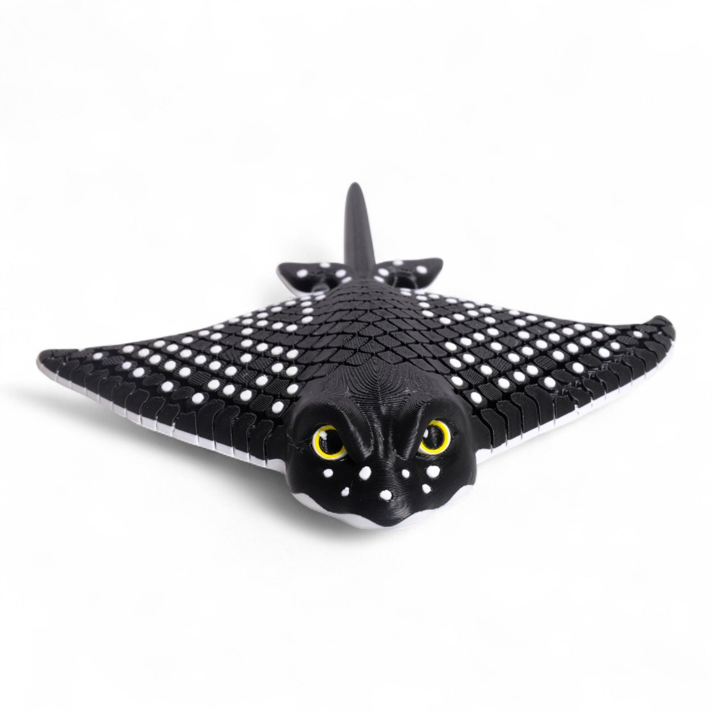 Eagle Ray Vatoz