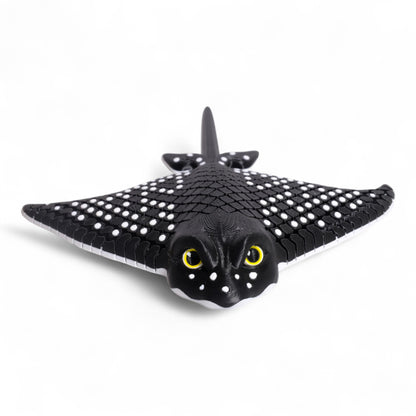 Eagle Ray Vatoz