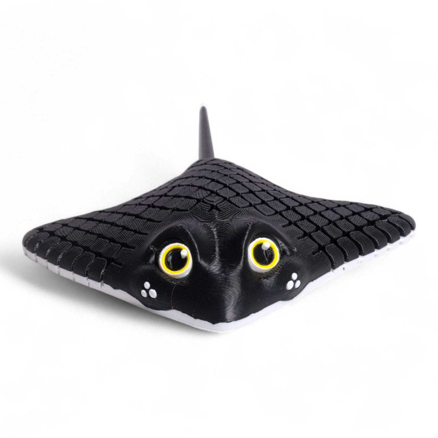 Manta Ray Vatoz