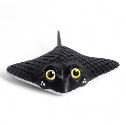 Manta Ray Vatoz