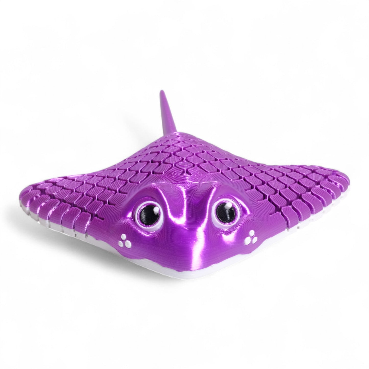 Manta Ray Vatoz