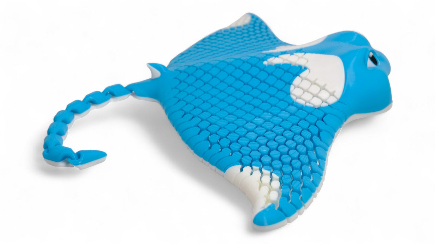 Manny Ray Vatoz