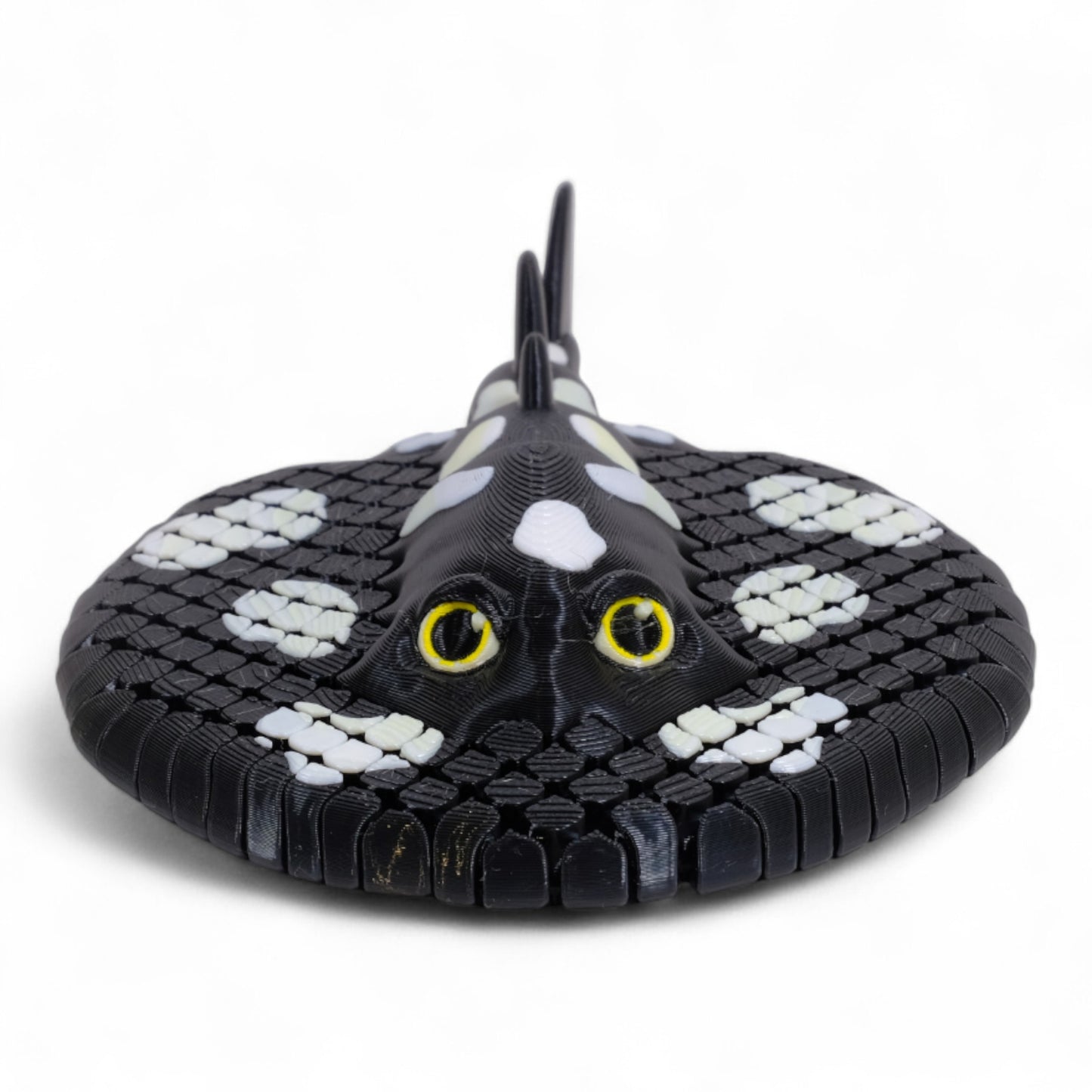 Electric Ray Vatoz