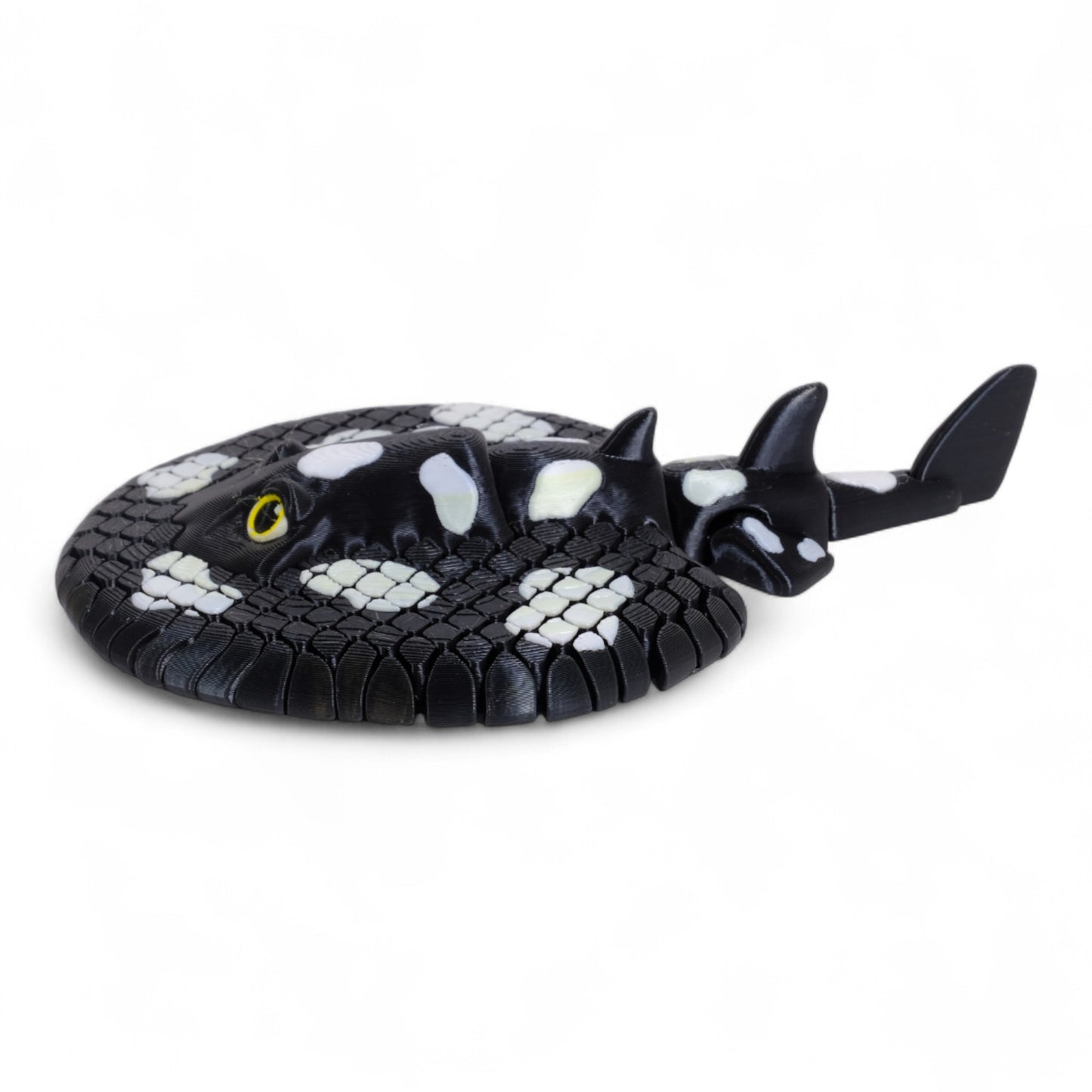 Electric Ray Vatoz