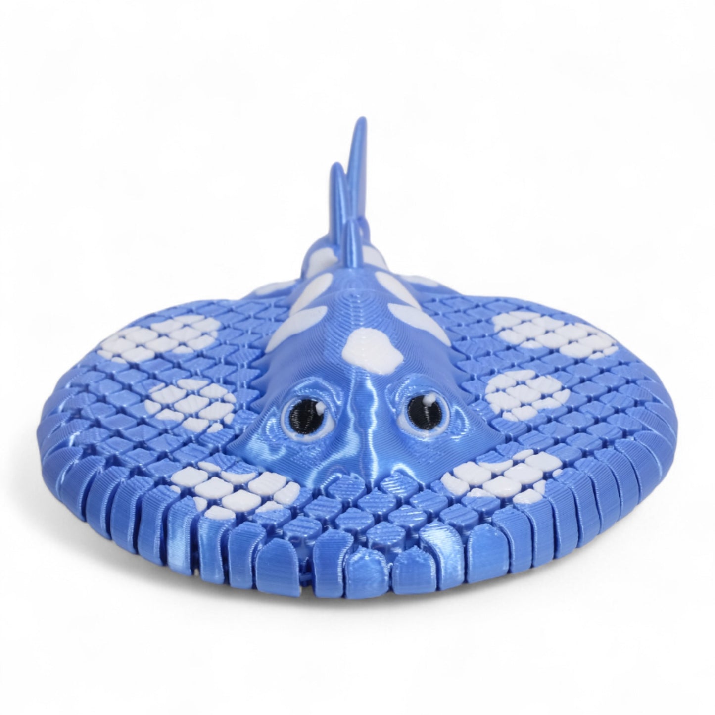 Electric Ray Vatoz