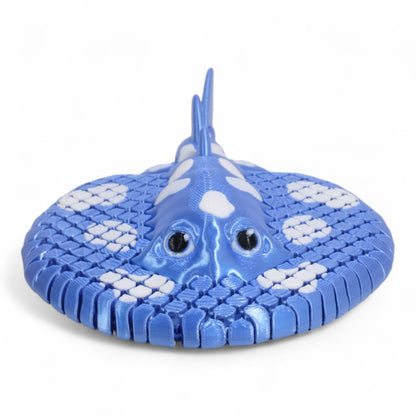 Electric Ray Vatoz