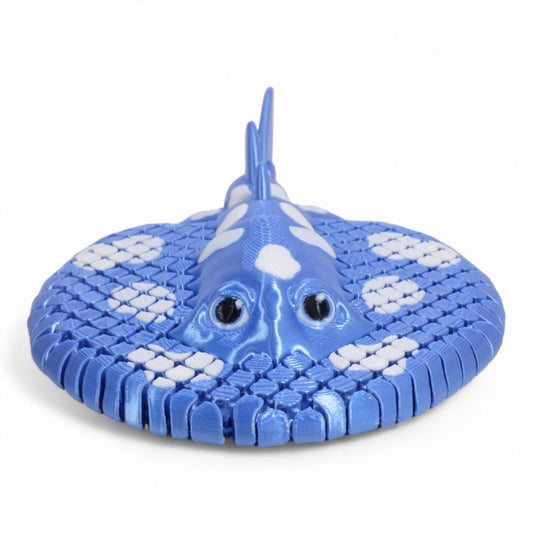 Electric Ray Vatoz