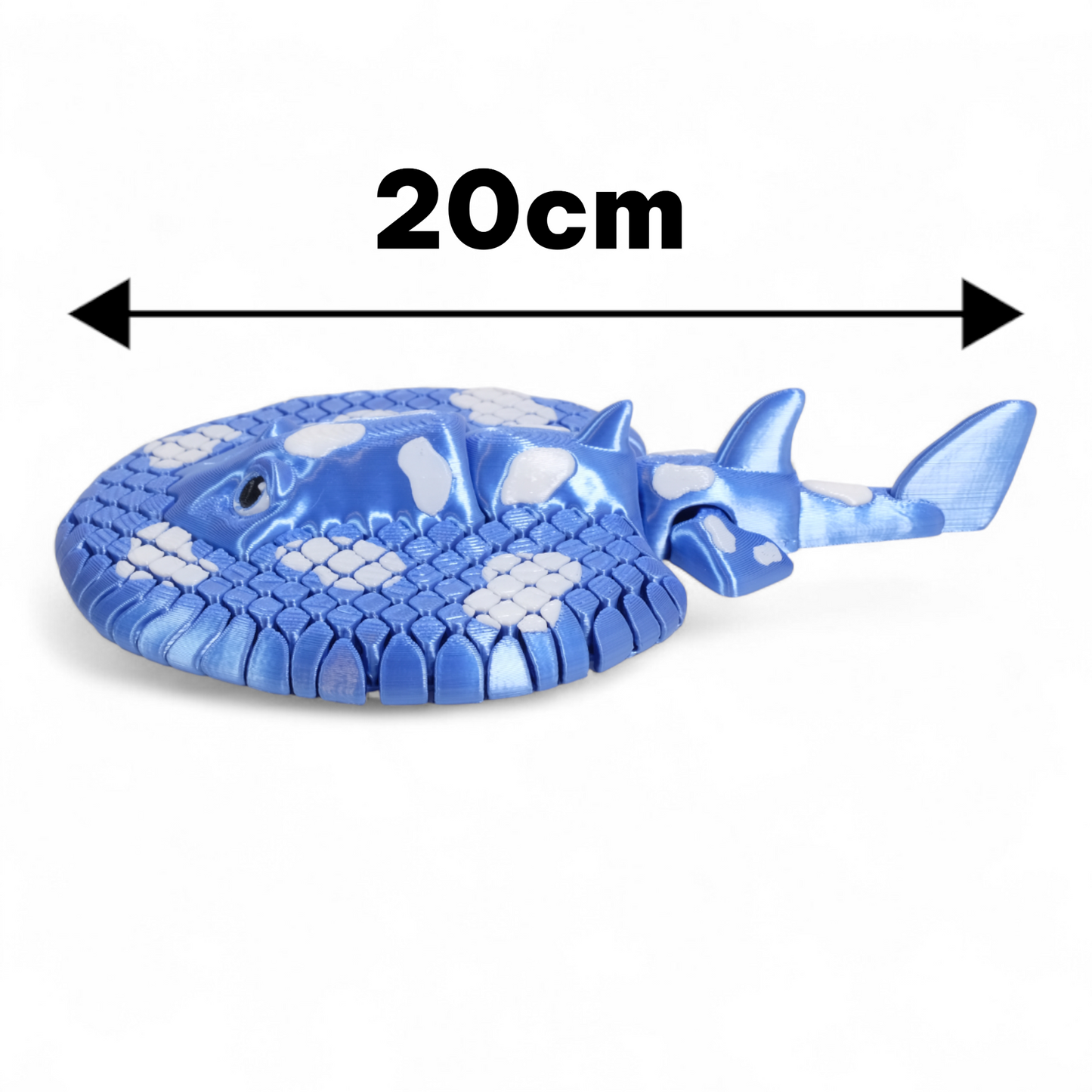 Electric Ray Vatoz