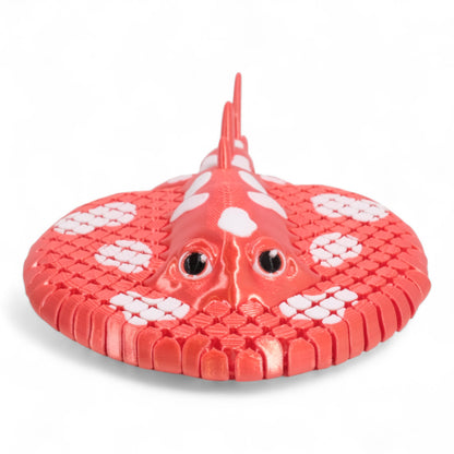 Electric Ray Vatoz
