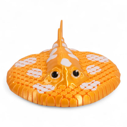 Electric Ray Vatoz