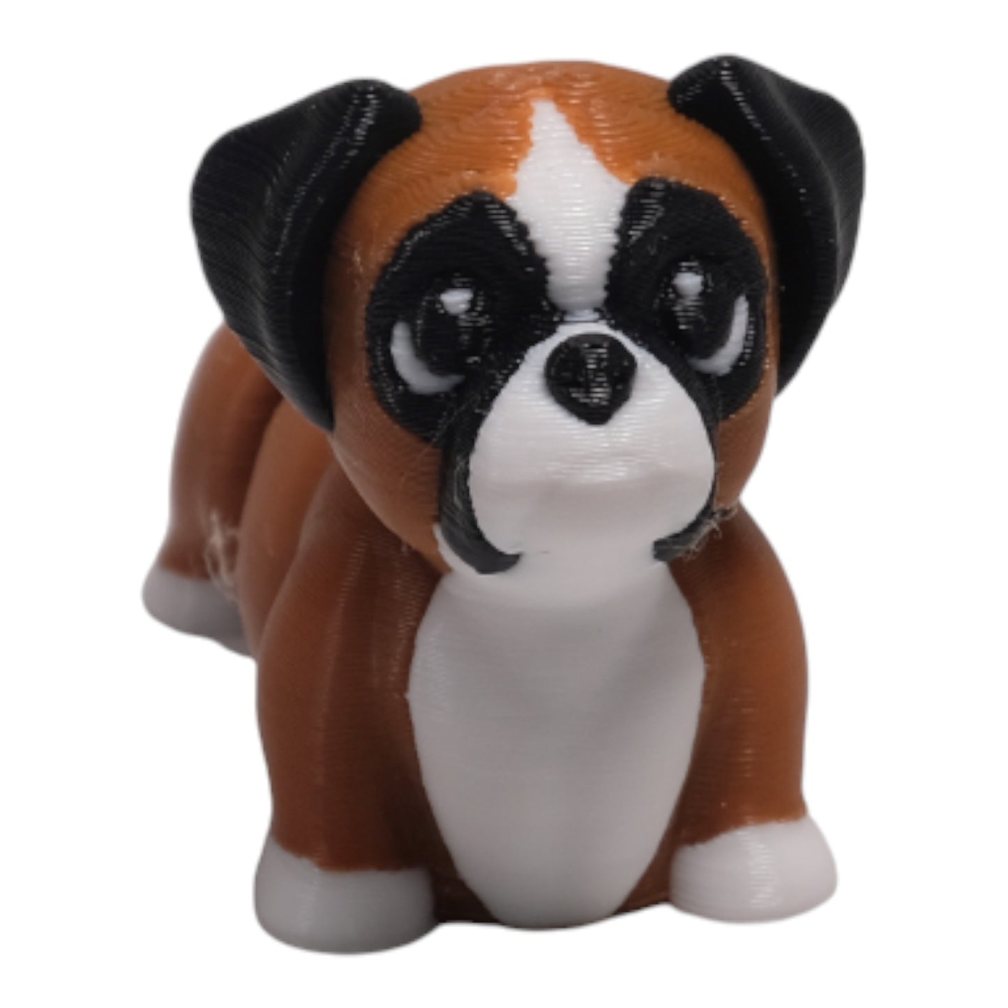 Cribbliz Boxer Köpek