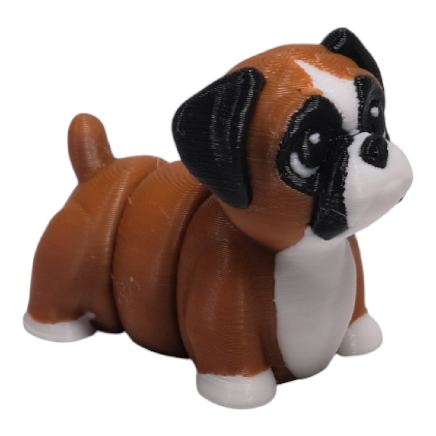 Cribbliz Boxer Köpek
