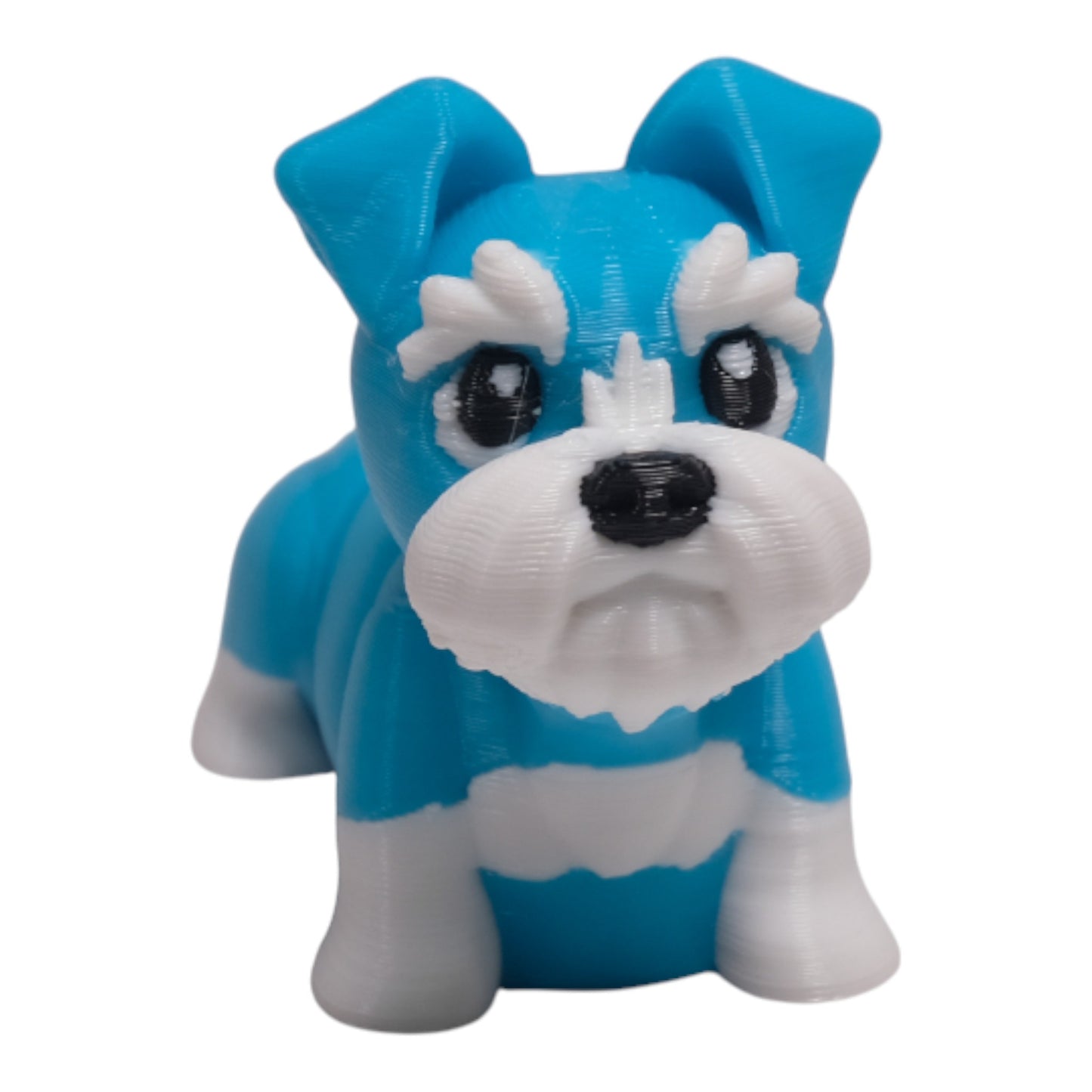 Cribbliz Schnauzer Köpek