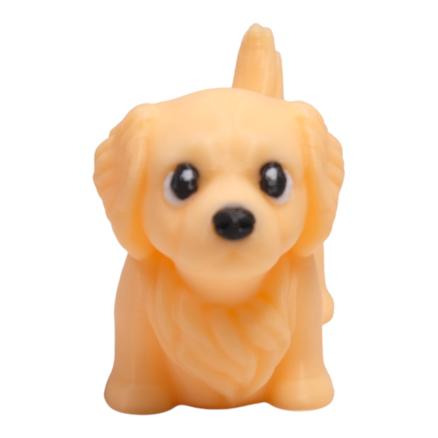 Cribbliz Golden Retriever