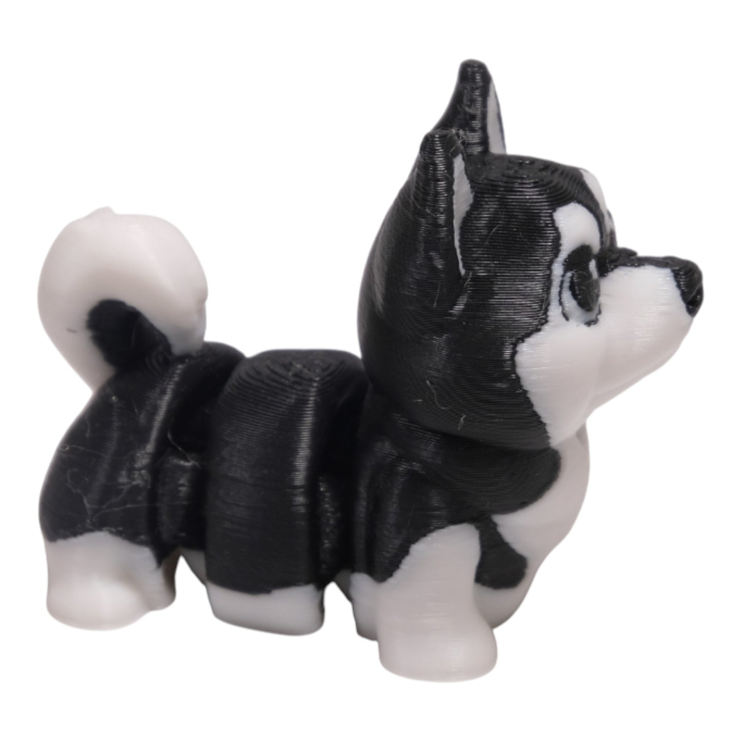 Cribbliz Husky Köpek