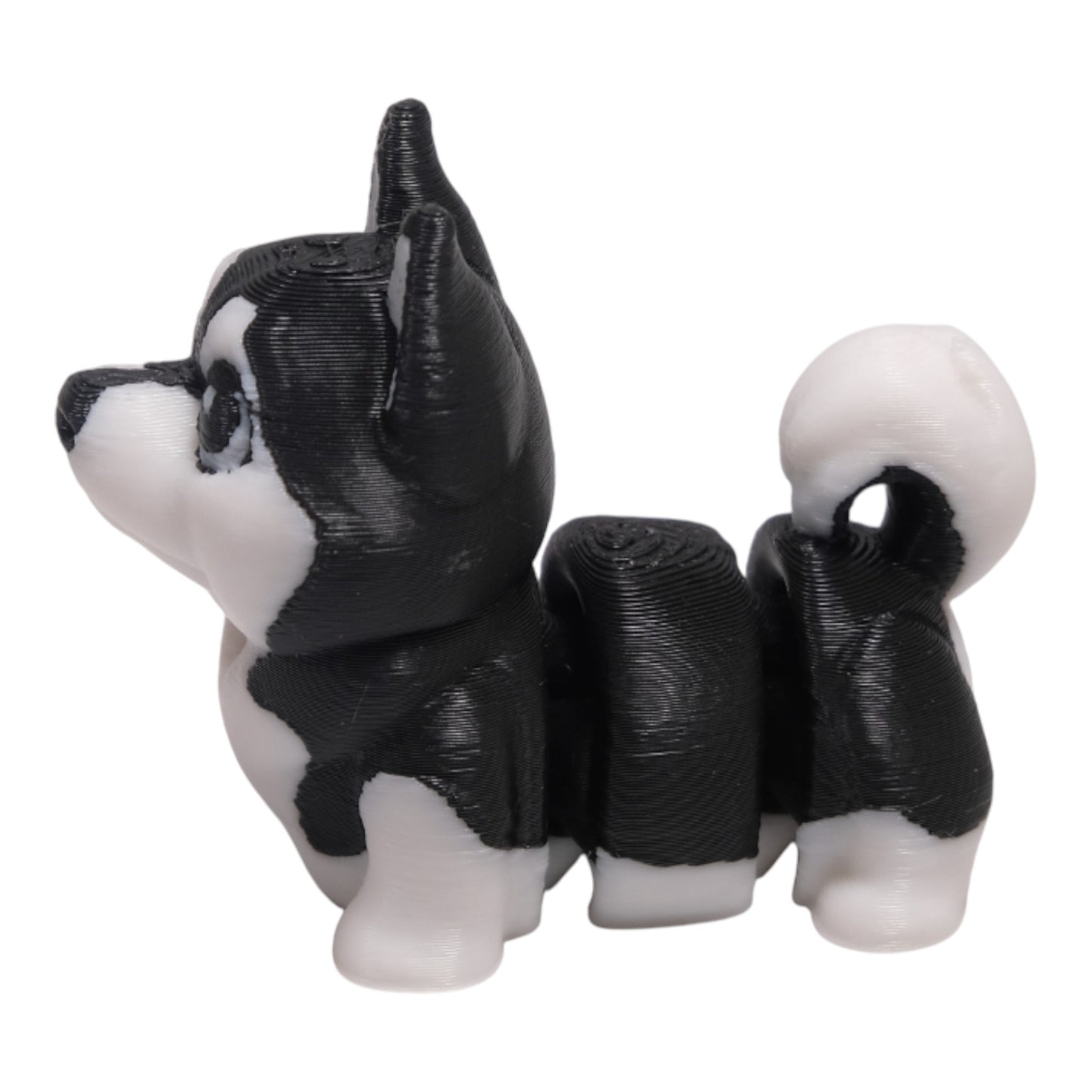 Cribbliz Husky Köpek
