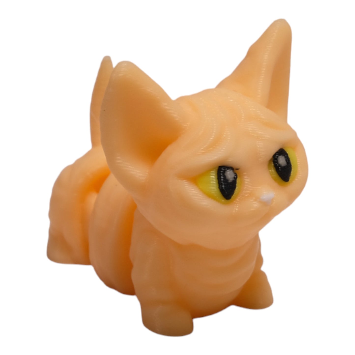 Cribbliz Sphynx / Sfenks Kedi