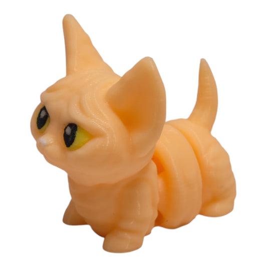 Cribbliz Sphynx / Sfenks Kedi