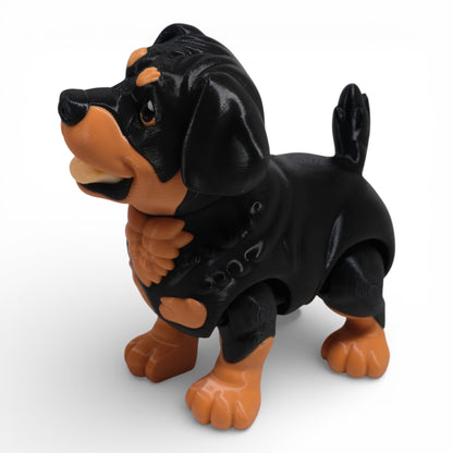 Rottweiler Köpek