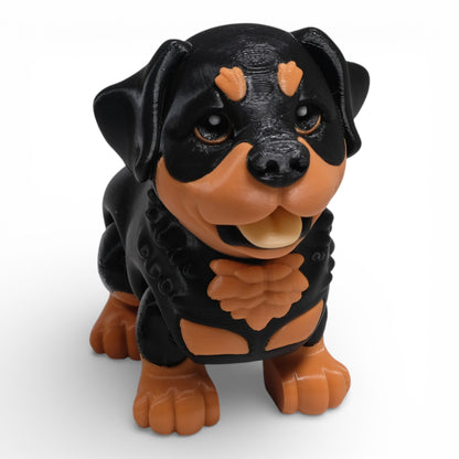 Rottweiler Köpek
