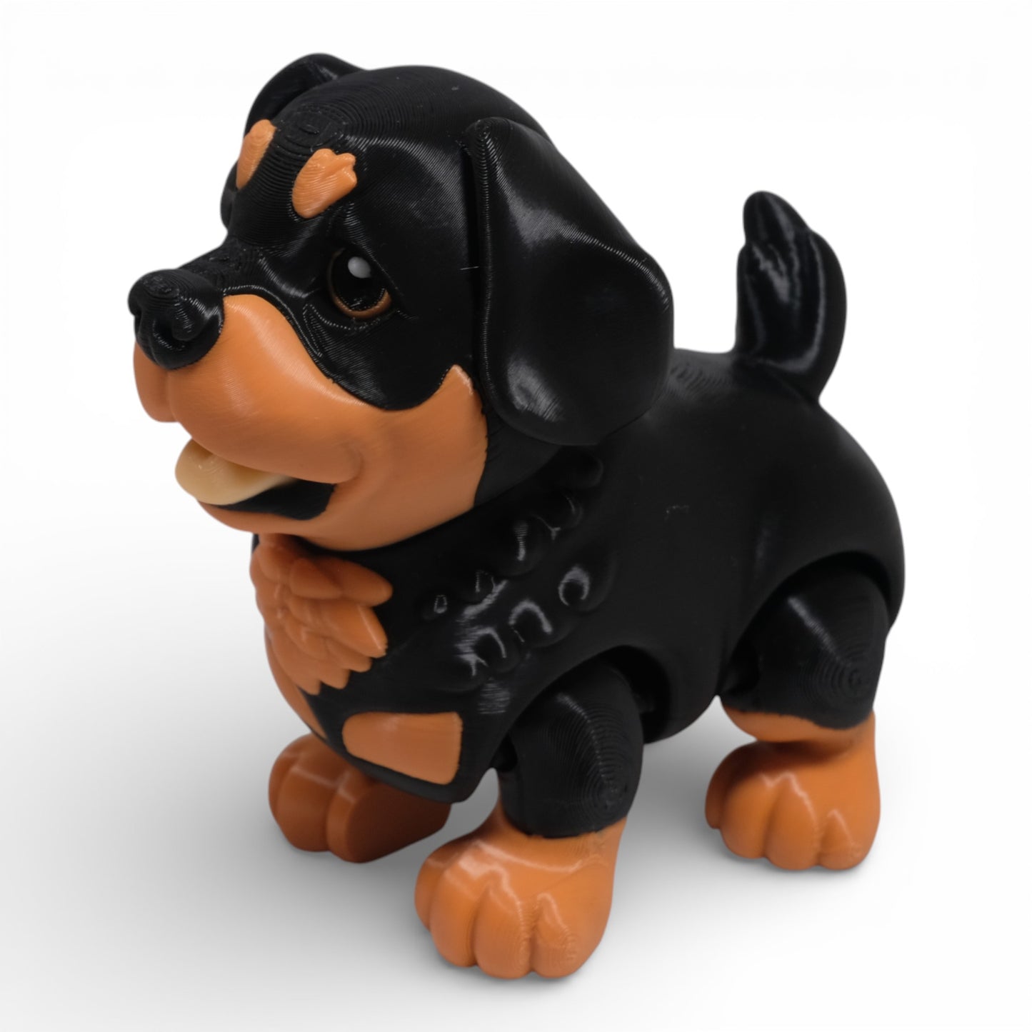 Rottweiler Köpek