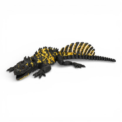 Sailfin Dragon Kertenkele