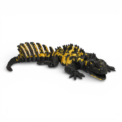 Sailfin Dragon Kertenkele