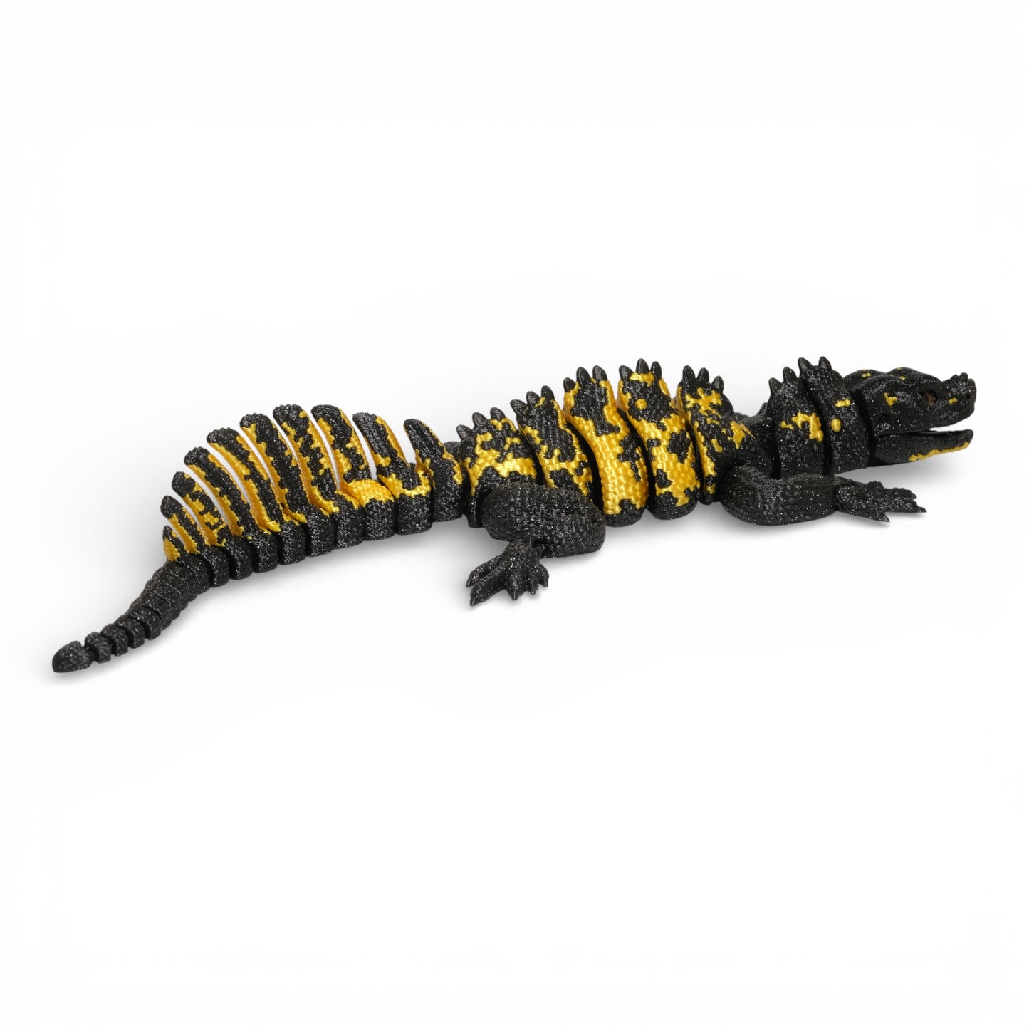 Sailfin Dragon Kertenkele