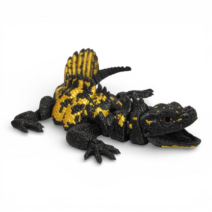 Sailfin Dragon Kertenkele