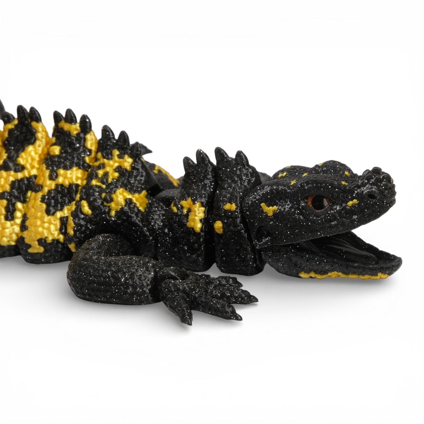 Sailfin Dragon Kertenkele