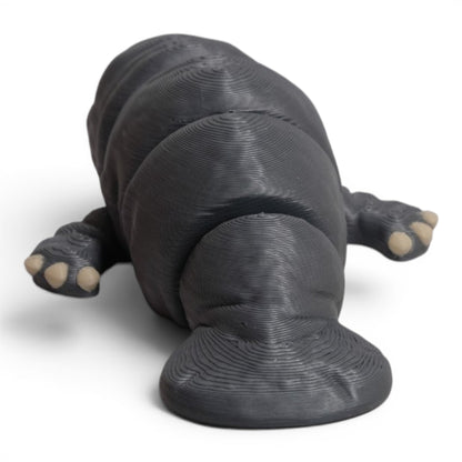 Mini Manati