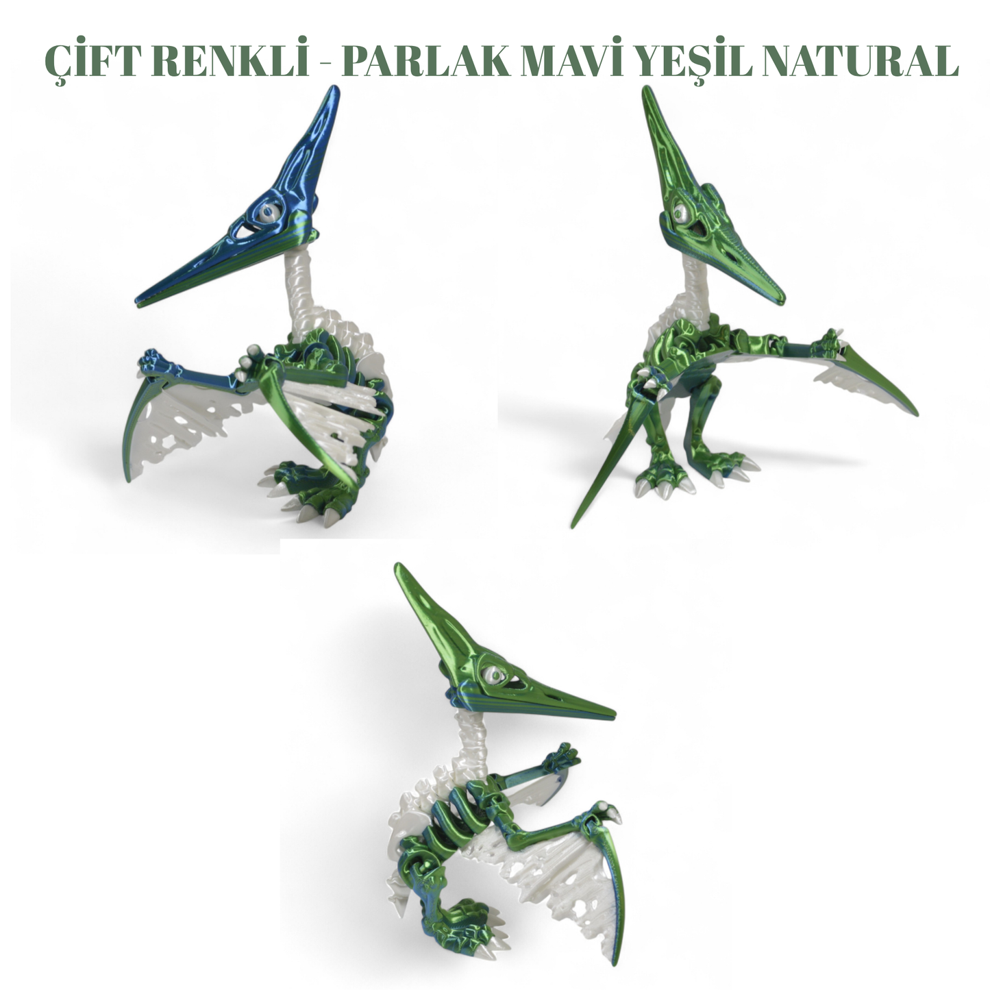 İskelet Pteranodon Dinozor