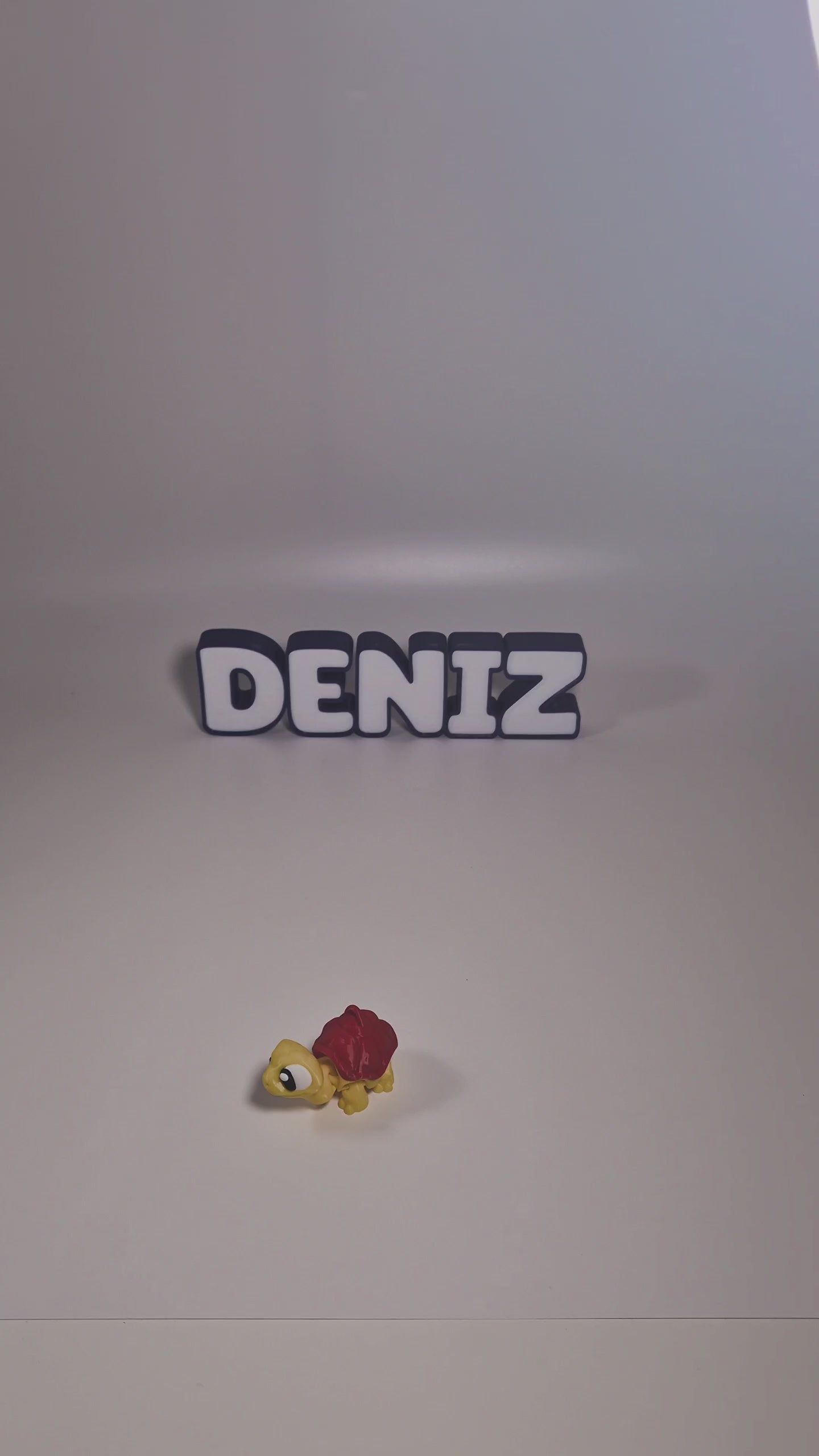 Bublinks Kaplumbağa Figürü